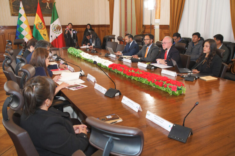 BOLMEX1
