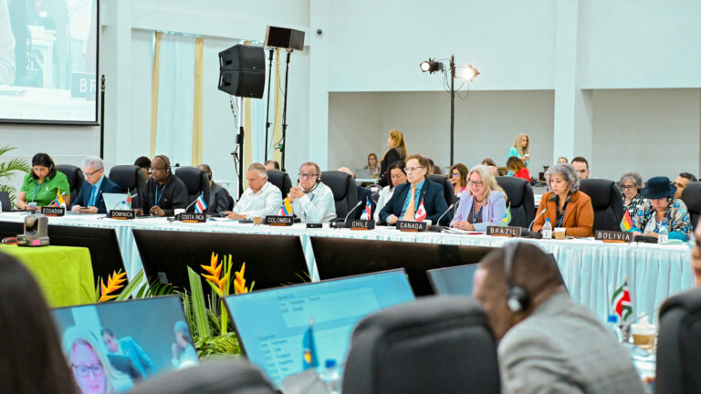 WhatsApp Image 2025-06-26 at 3.44.34 PM