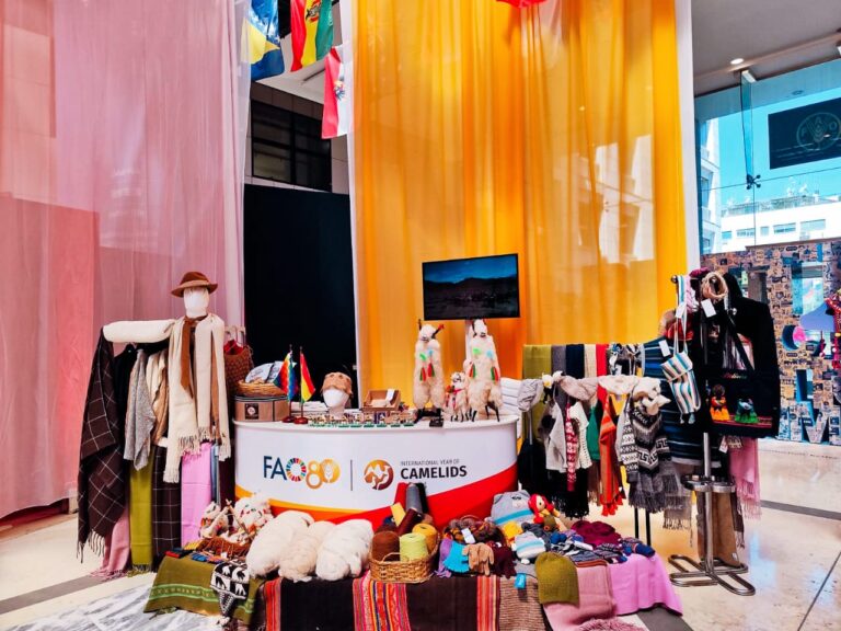 WhatsApp Image 2025-06-30 at 5.55.48 PM