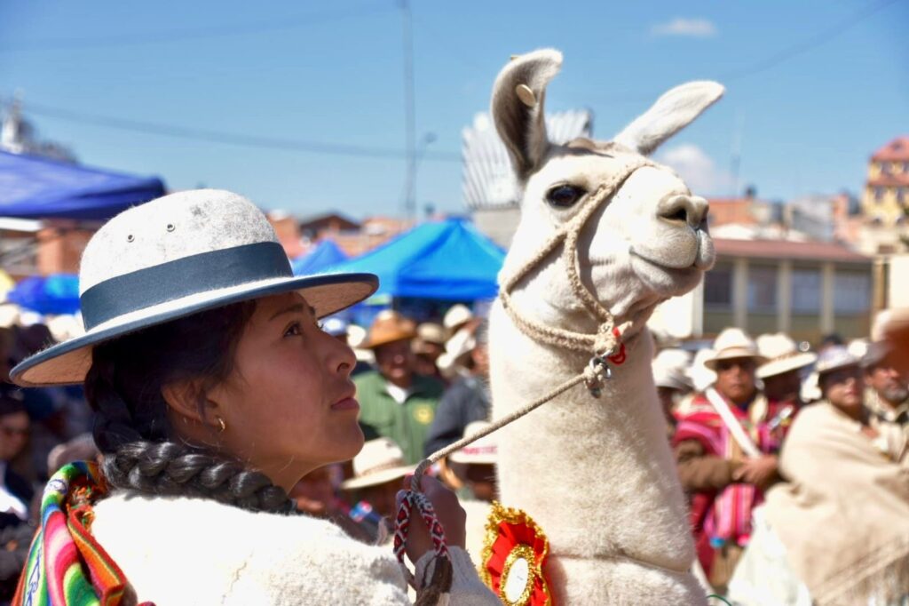 3ad7f019-d659-4b60-b3d7-932388911092