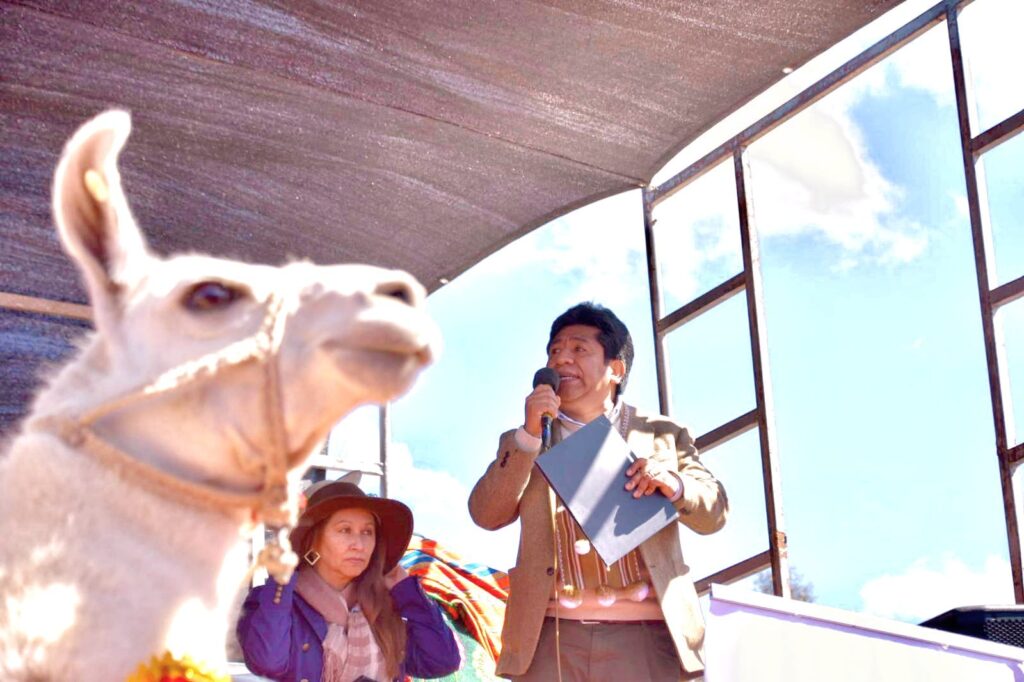 3c250240-6908-4f54-b5b4-c7a6d90b7a61