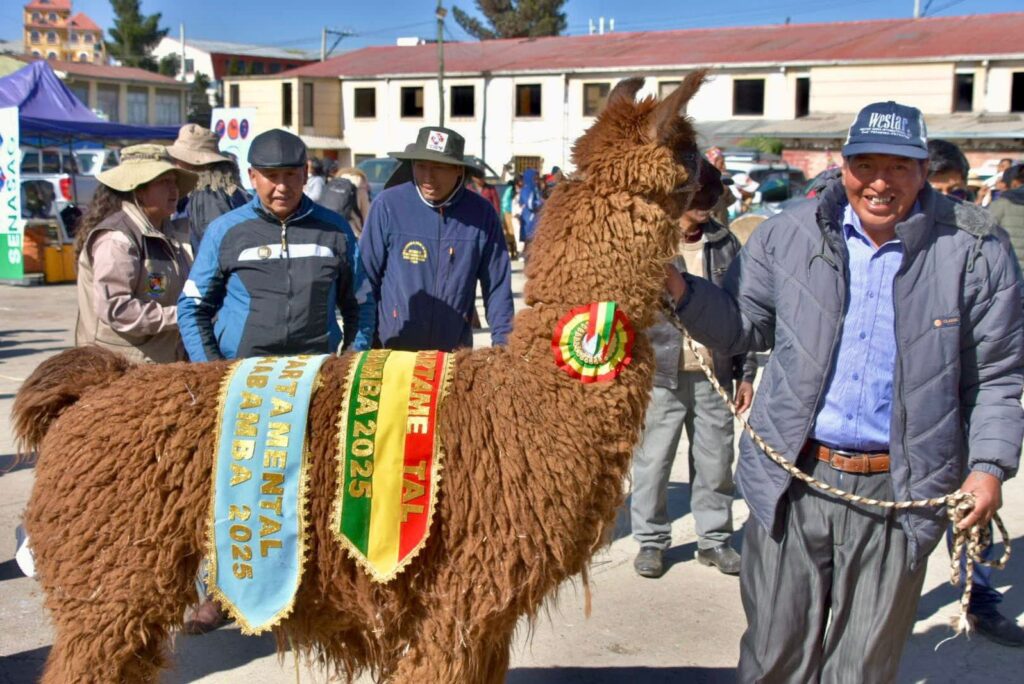 732b0713-b08a-4ffe-b18d-84d0a9deddc3