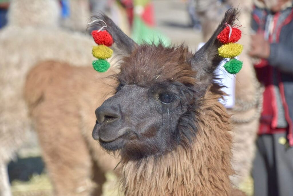 943c45ca-6e70-4b3b-b28d-2c4011e15642