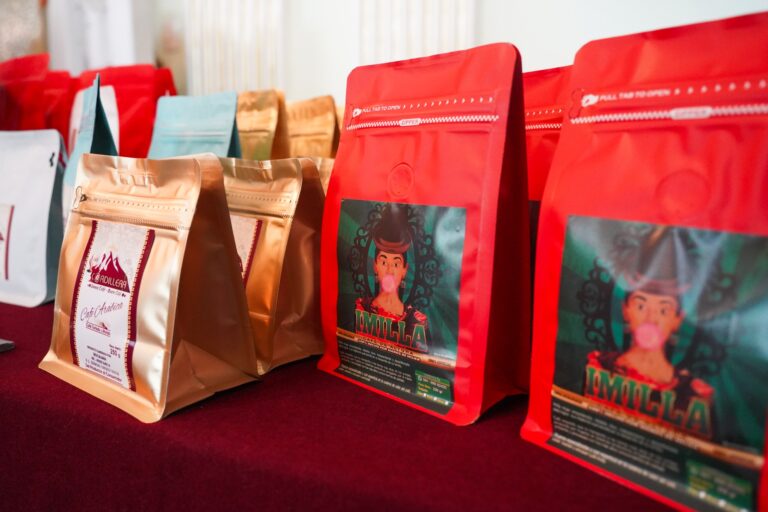 WhatsApp Image 2025-07-25 at 9.13.13 AM