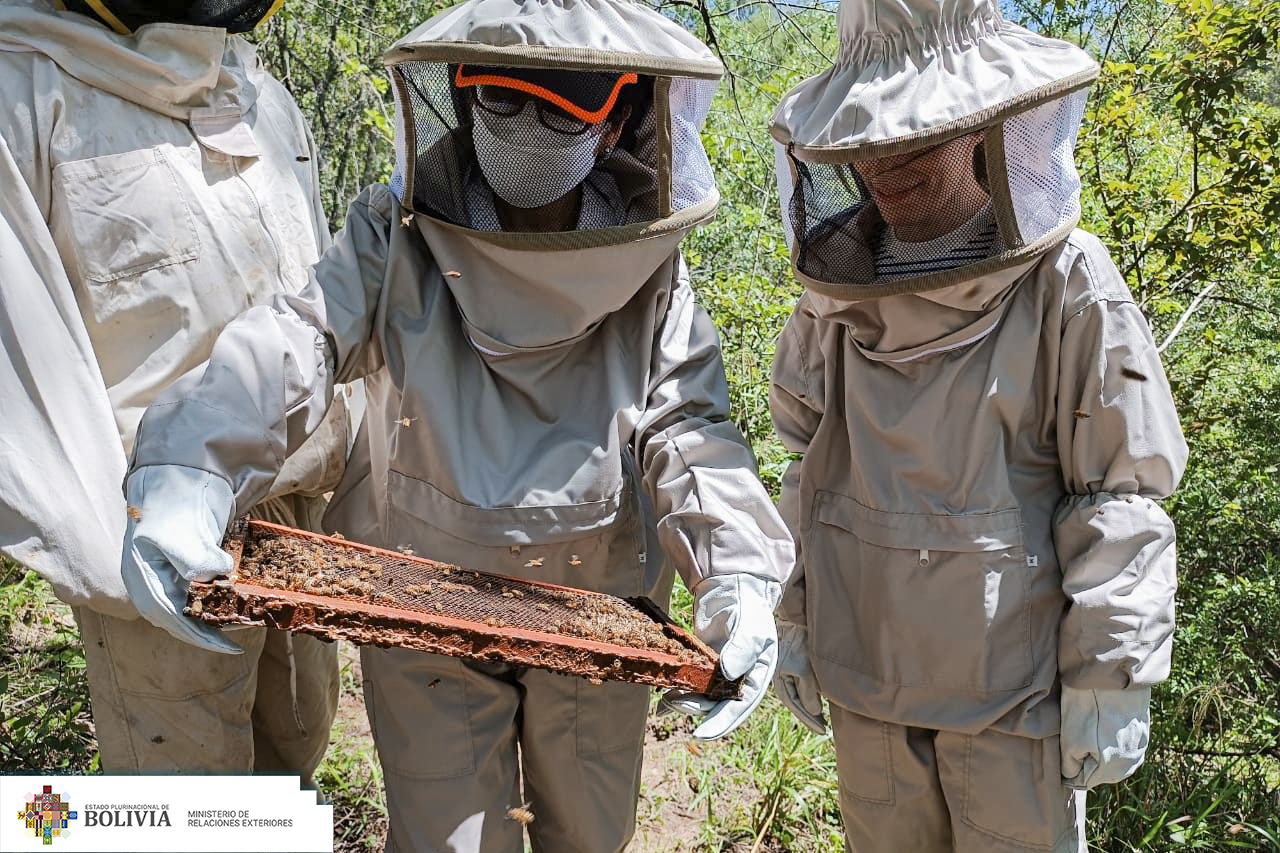 La construcción de una marca colectiva permitirá posicionar la imagen de la miel del Chaco Chuquisaqueño en mercados internacionales